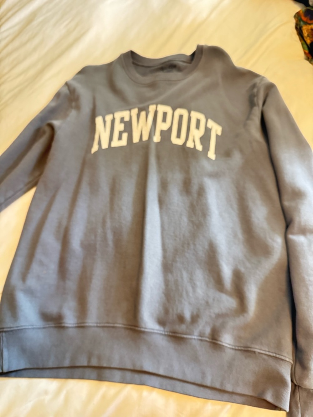 Brandy Melville Newport Crewneck Sweatshirt in Dusty Blue with White Lettering